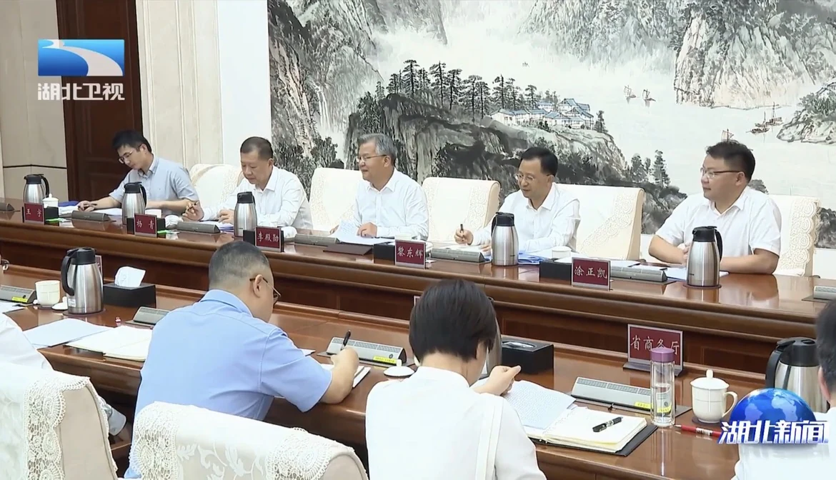 湖北省氢能产业发展专题会议现场