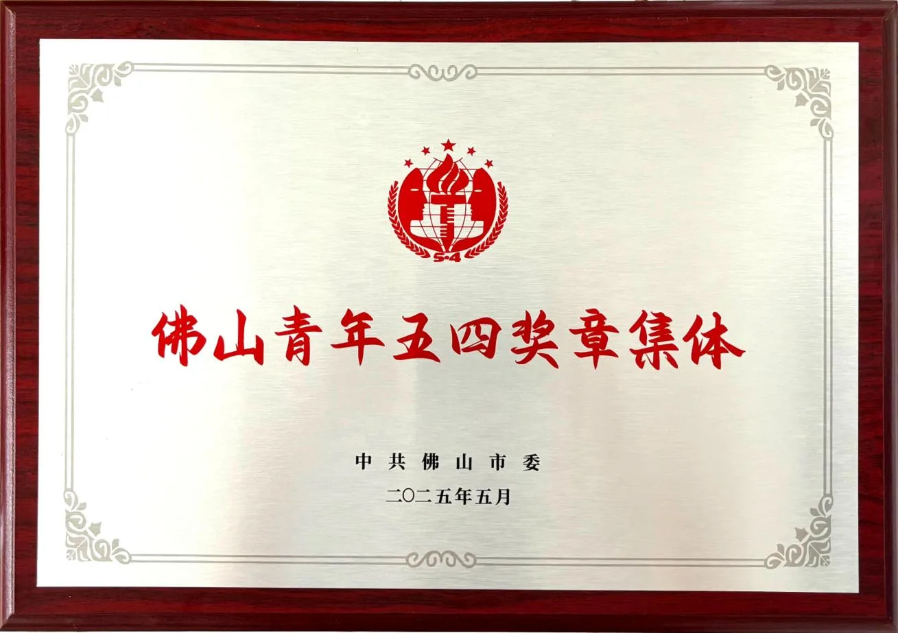 “佛山青年五四奖章集体”奖牌