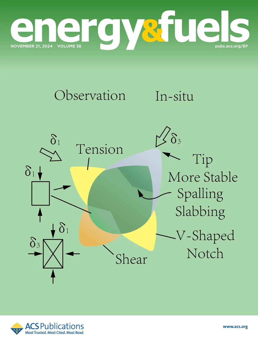 Energy & Fuels,2024年第38卷第22期